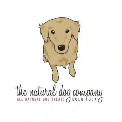Image Alternative Text