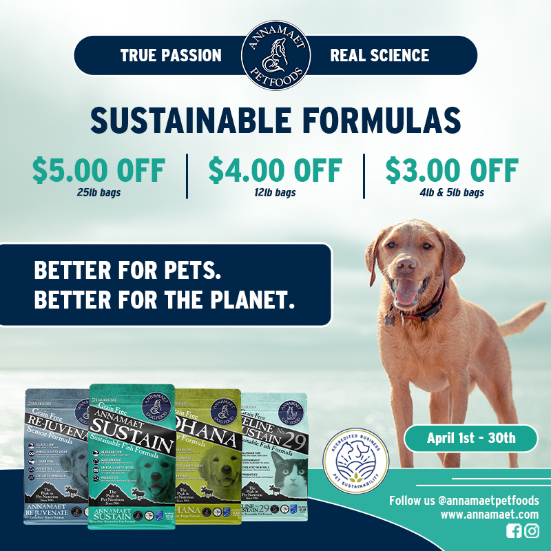 Promotion Image