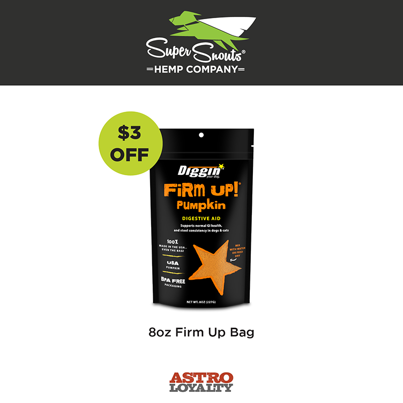 Promotion Image