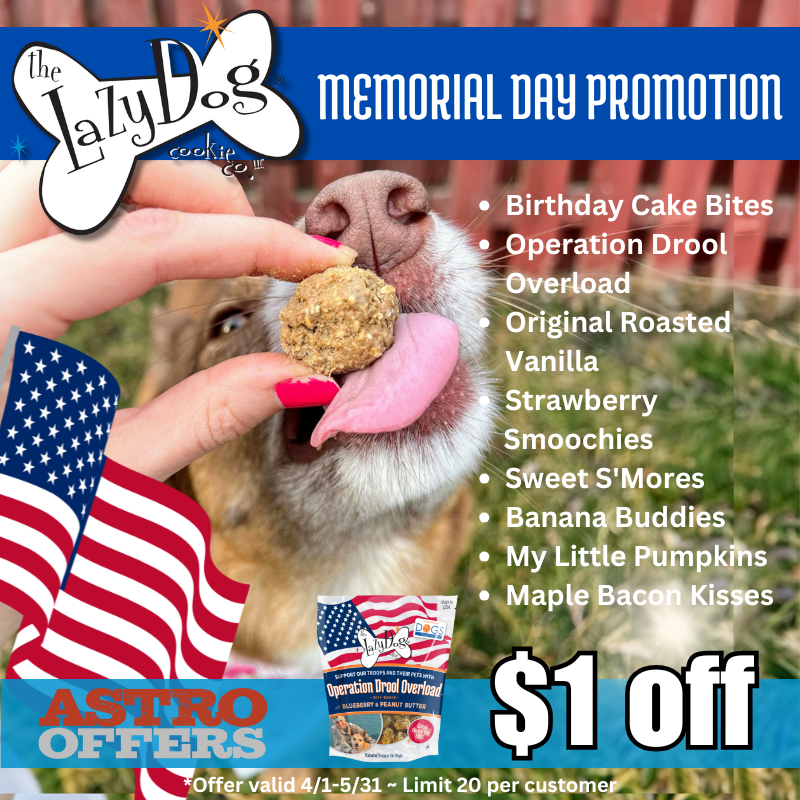 Promotion Image