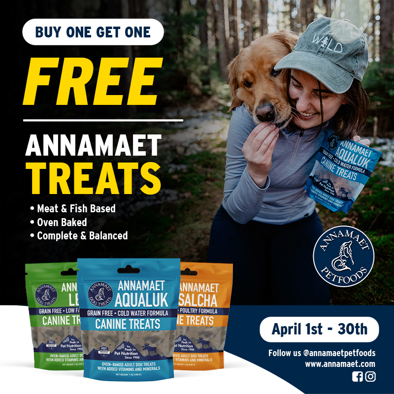 Promotion Image
