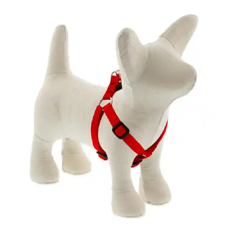 Lupine 1/2" Step In Harness Red 12"-18"