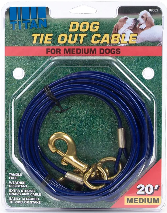 Medium Cable Dog Tie Out - 20'