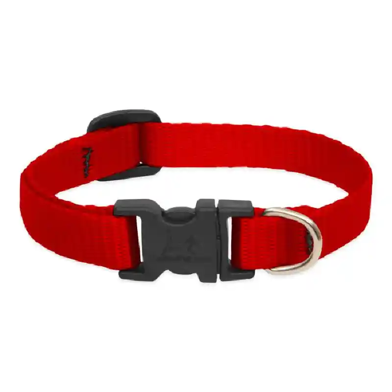Lupine Adjustable Collar 1/2" 8-12" Red