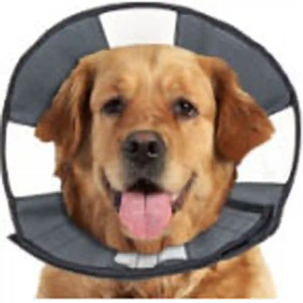 Zenpet Zencone Soft Dog & Cat Recovery Collar, X-large