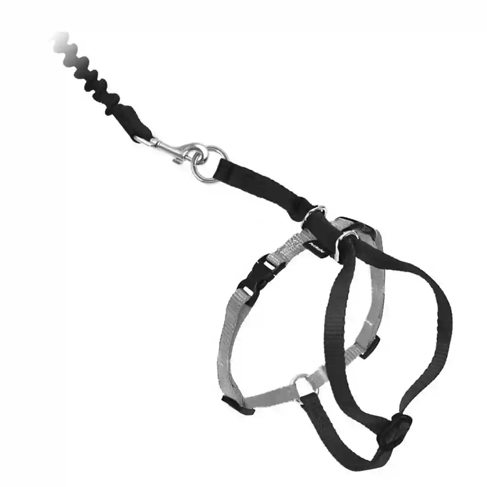 Harness & Bungee Leash Small Black