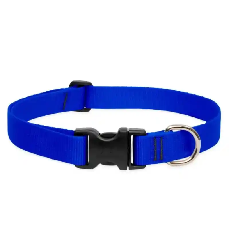 Lupine Collar 12"-20" Blue Basic Bones 12"-20" 1"