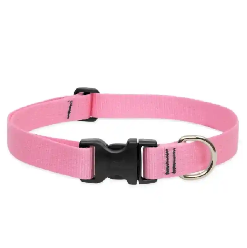Lupine Adjustable Collar 1" 12-20" Pink