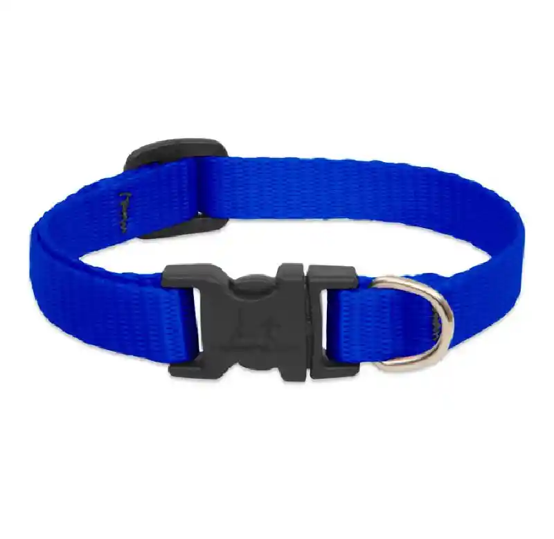 Lupine Basics Collar 8-12" Blue