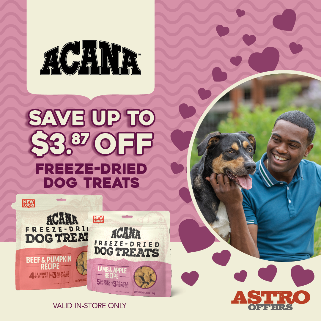 Promotion Image