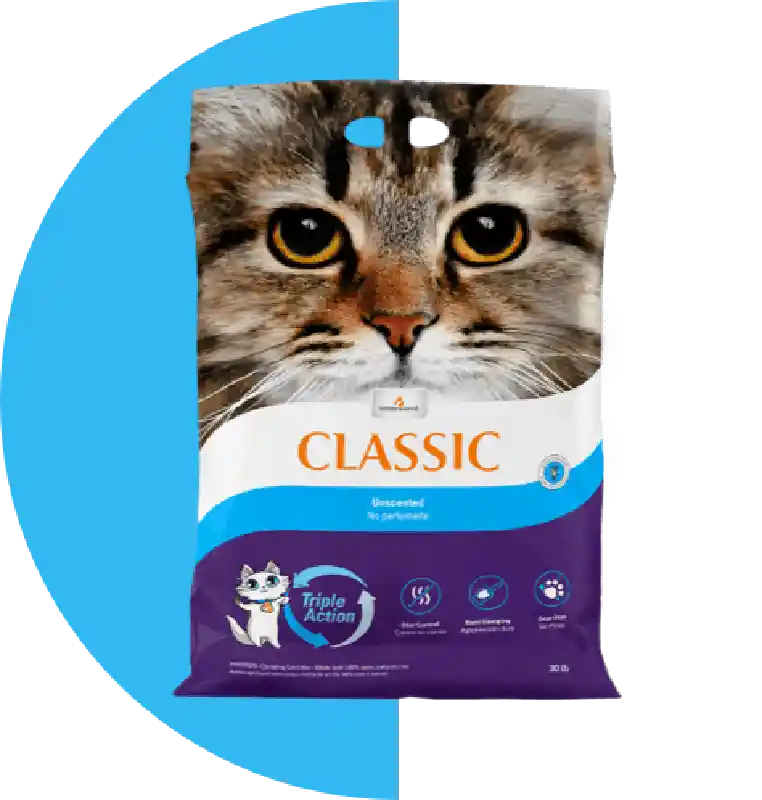 Ins Lttr Clsc Unsct 30#