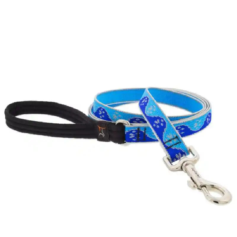 Lupine 3/4" Reflective Blue Paws Leash 6 Foot