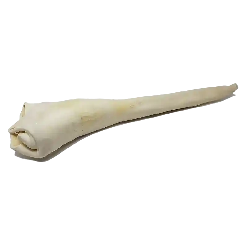 Home Range Full Length Bull Tail