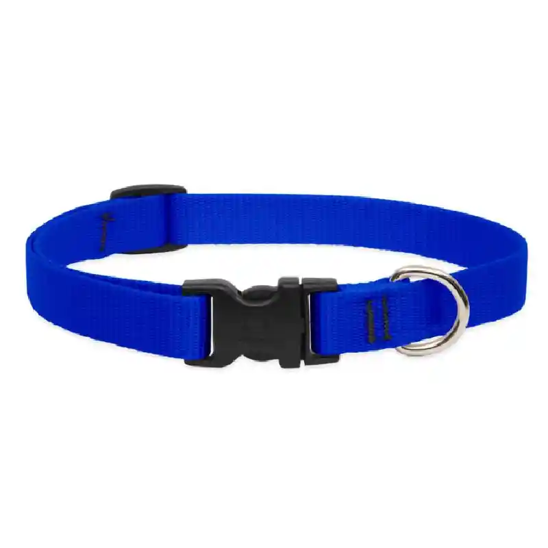 Lupine Adjustable Collar 3/4" 13-22" Blue