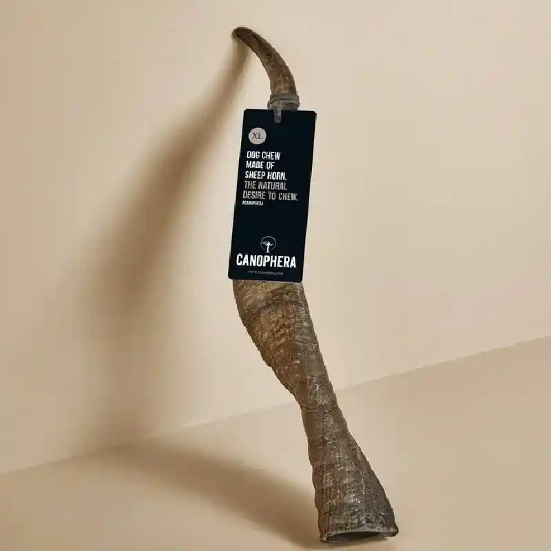 Canophera Xlarge Dog Sheep Horn Chew Ea
