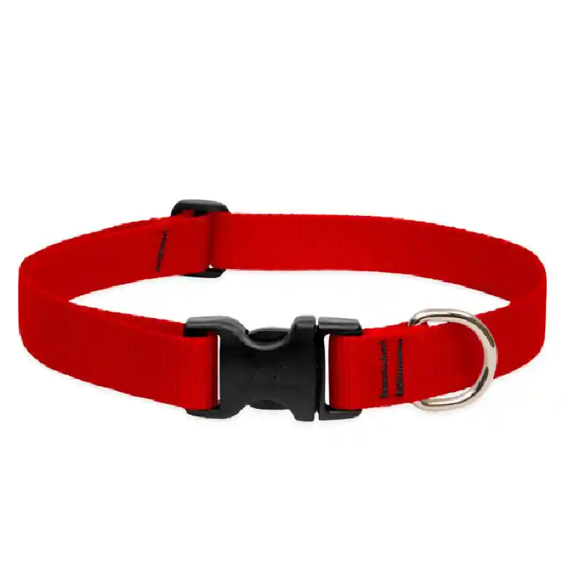 Lupine Adjustable Collar 1" Red 12"-20"