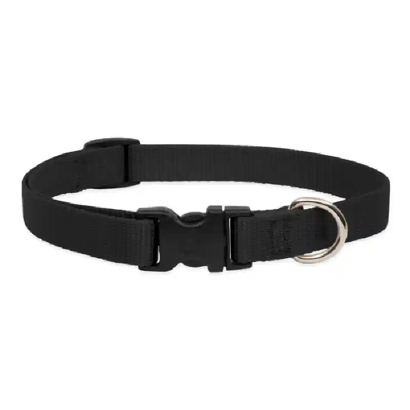 Lupine Collar 9"-14" Black Basic Black 9"-14" 3/4"