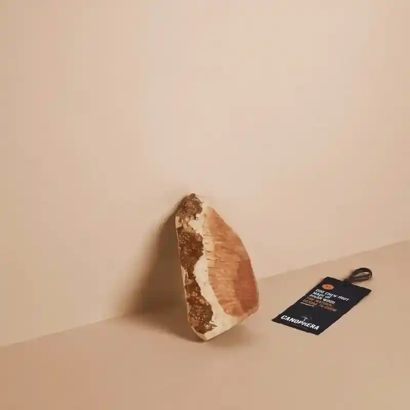 Canophera Briar Wood M