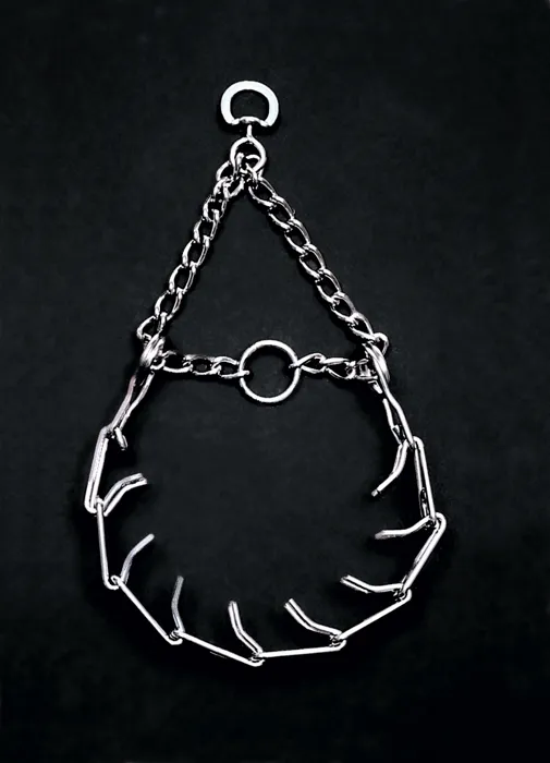 Dog Prong Training Collar - Chrome 3.0 Mm X 18"