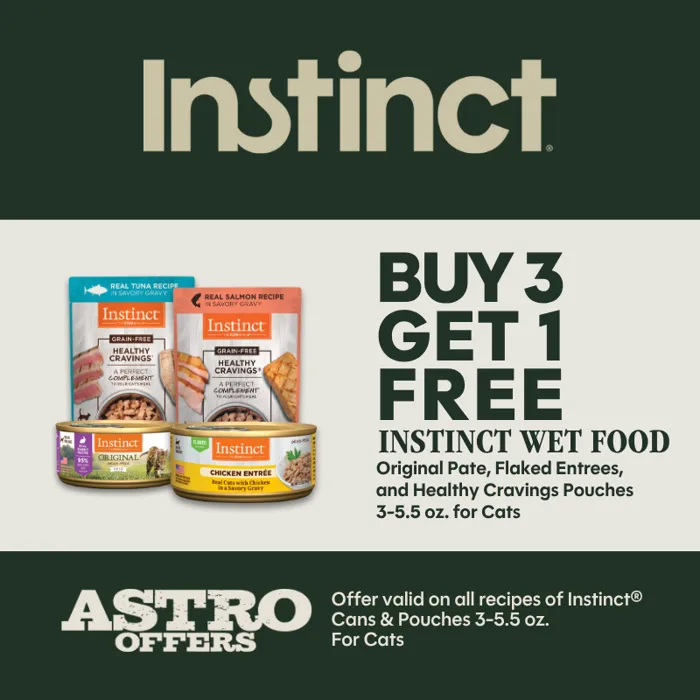 Promotion Image