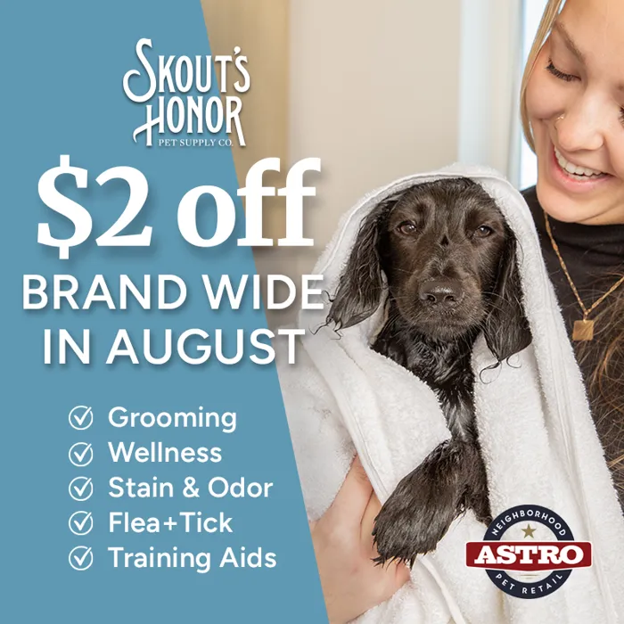 Promotion Image
