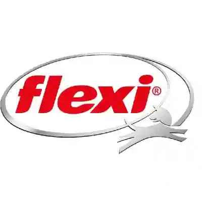 Image Alternative Text