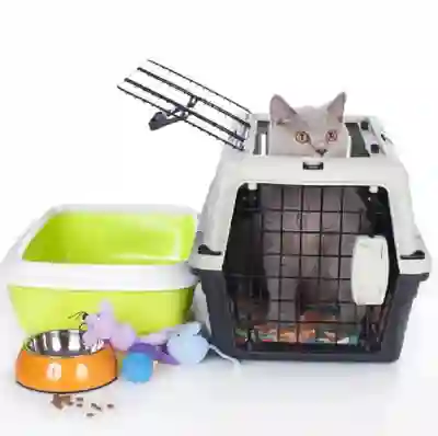 Image Alternative Text