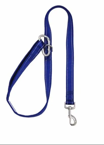Baydog Hudson Lead 6' Blue