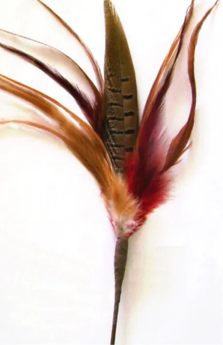 Go Cat Wild Thing 18"