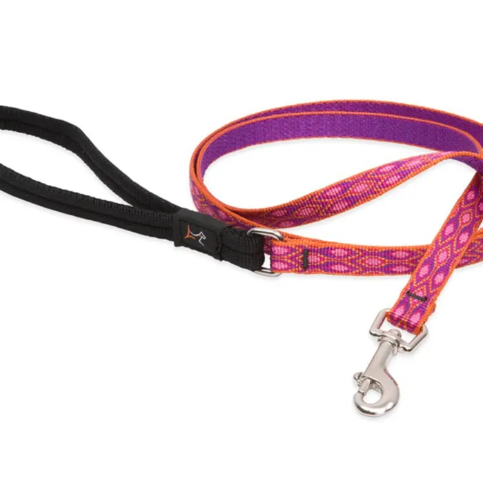 1/2" Alpen Glow 6' Leash