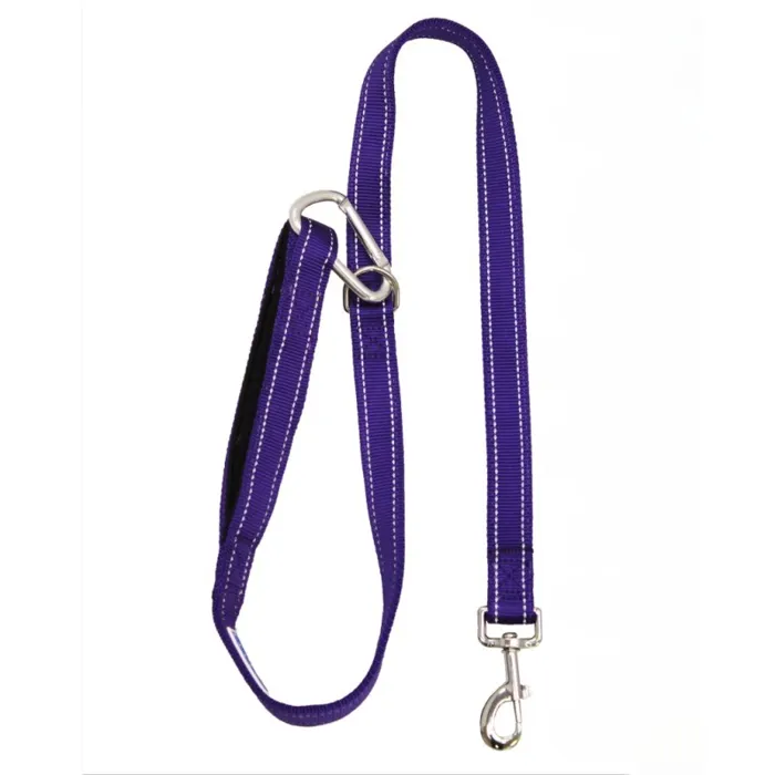 Baydog Hudson Dog Leash, Purple, 6-ft