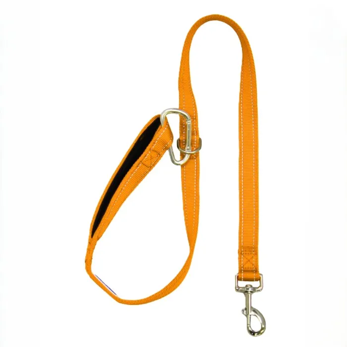 Baydog Hudson Leash 6' Orange