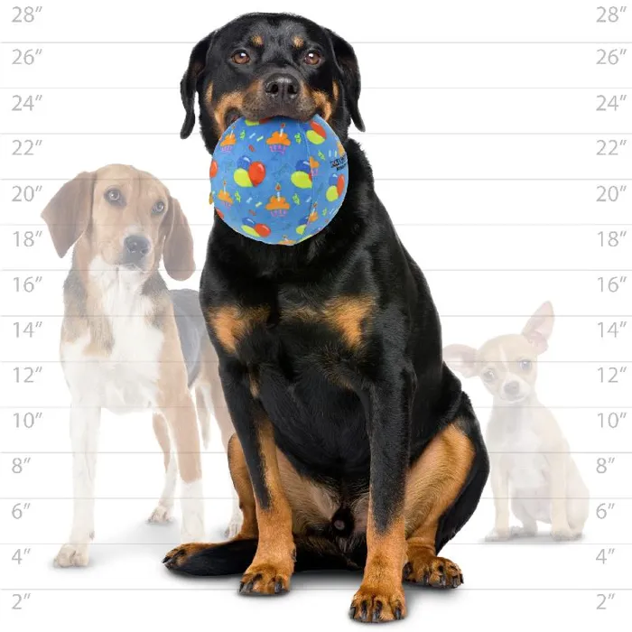 Mighty Celebration Ball Lg