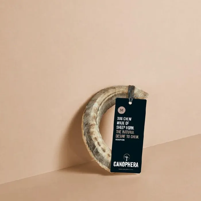 Canophera Medium Dog Sheep Horn Chew Ea