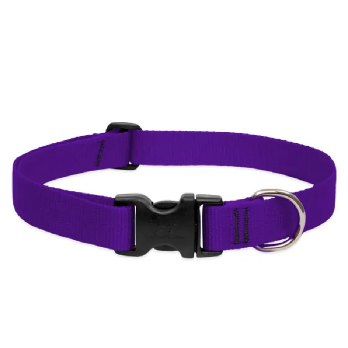 Lupine Adjustable Collar 1" 16-28" Purple