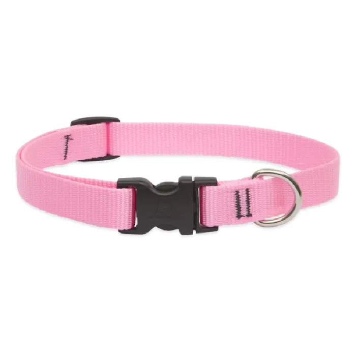 Lupine 3/4" Adjustable Collar 13-22" Pink