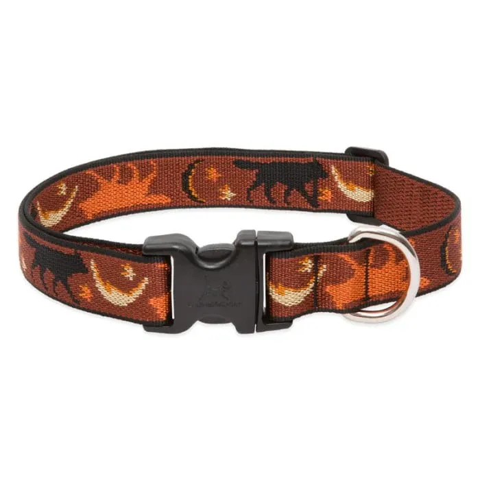 Lupine 1" Collar Shadow Hunter 12"-20"
