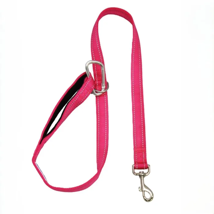 Baydog Hudson Dog Leash, Pink, 6-ft
