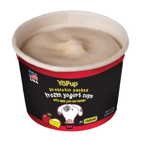 Yopup Frozen Yogurt Apple Juice & Cheddar 3.5-oz