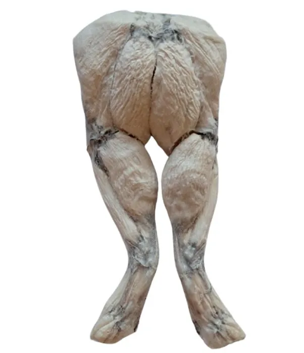 Bones & Co Fd Dog Treats Frog Legs 35 Ct