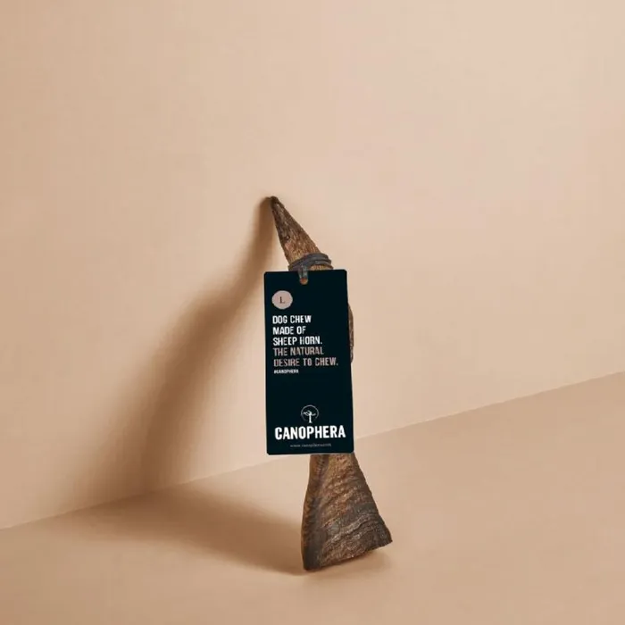 Canophera Large Dog Sheep Horn Chew Ea