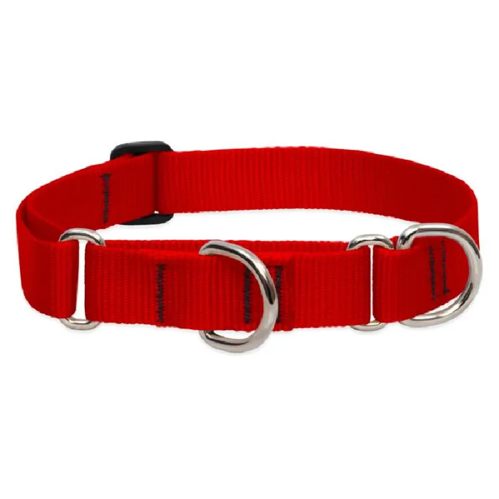 Lupine 1" Martingale Collar Red 19"-27"