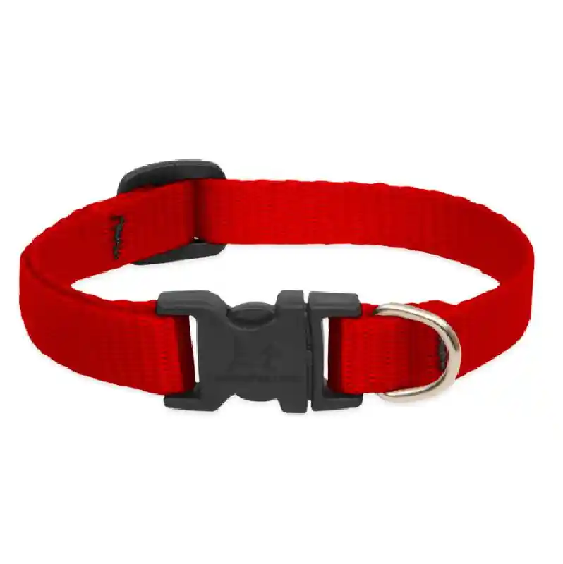 Adjustable Collar 1/2" Red 10"-16"