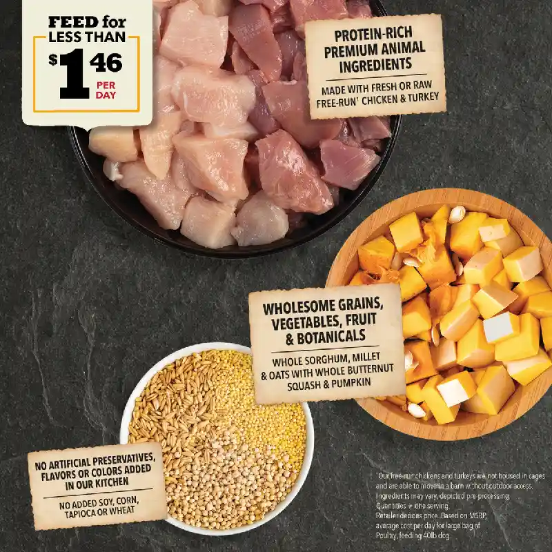 Acana Wholesome Grains Dry Food Poultry 22.5-lb