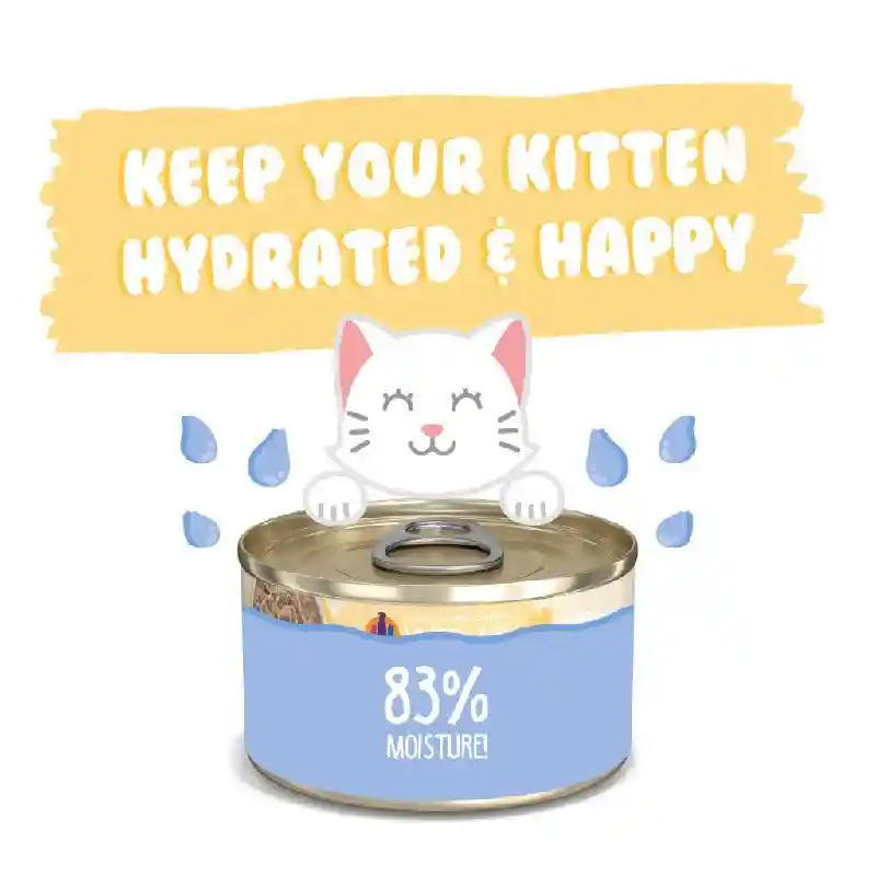 Weruva Kitten Can Chicken Au Jus Gravy 3-oz