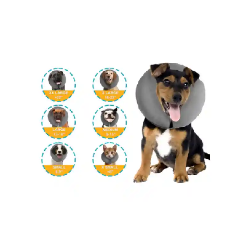 Procollar Small