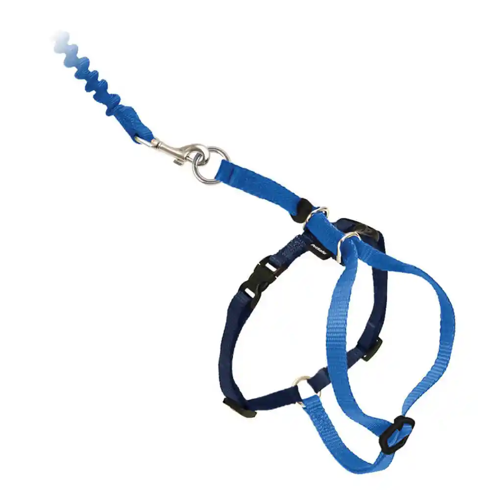 Harness & Bungee Leash Small Royal Blue Small