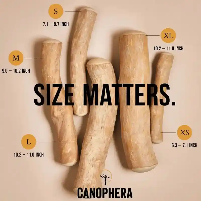 Canophera Coffee Wood Chew Stick Medium