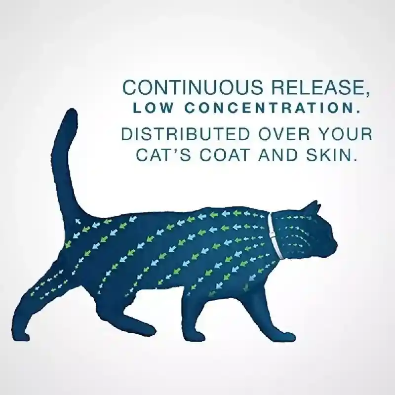 Seresto Flea & Tick Collar For Cats Standard Size