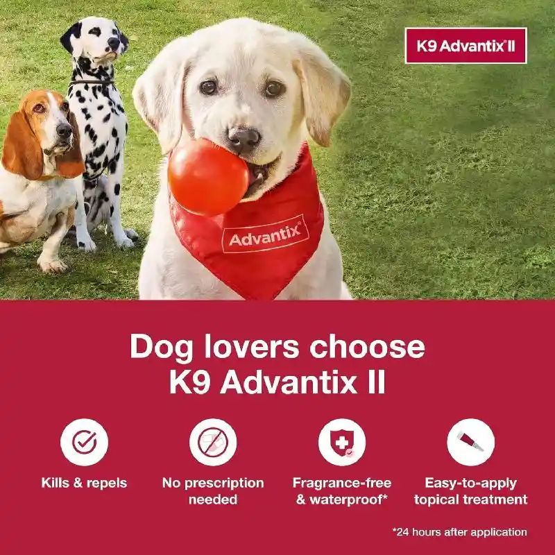 K9 Advantix Ii Dog Medium 11-20 Lbs. 4 Pack